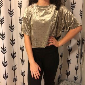 taupe velour urban outfitters crop top